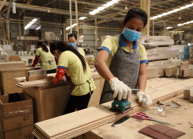 Xuất khẩu lâm sản 6 tháng đầu năm tăng 20%