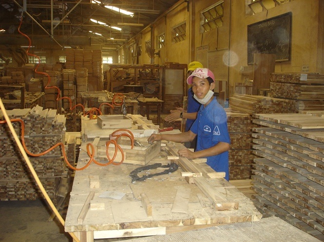 Ngành gỗ gặp khó về gỗ nguyên liệu 
