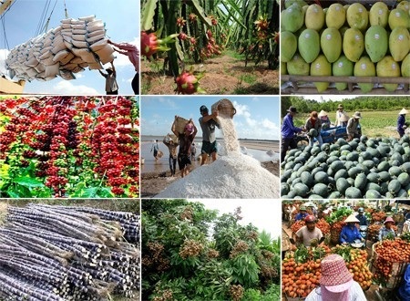 Ngành nông nghiệp tăng trưởng cao nhất trong 10 năm qua