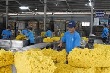 Doanh nghiệp cồng kềnh “níu chân” cổ phần hóa