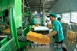 Nghịch lý ở ngành công nghiệp chế biến cao su 