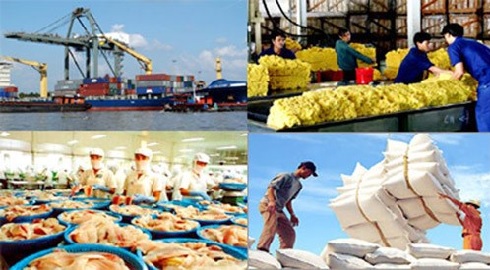 Xuất khẩu nông lâm thủy sản năm 2019: Chăn nuôi và cao su là điểm sáng 