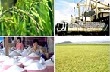 Xuất khẩu nông lâm thủy sản ước đạt 26,4 tỷ USD 
