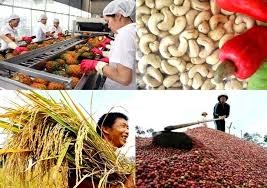Nửa đầu năm 2019, giá mặt hàng nông sản xu hướng giảm kéo dài
