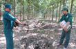 Đưa công trình thanh niên vào sản xuất