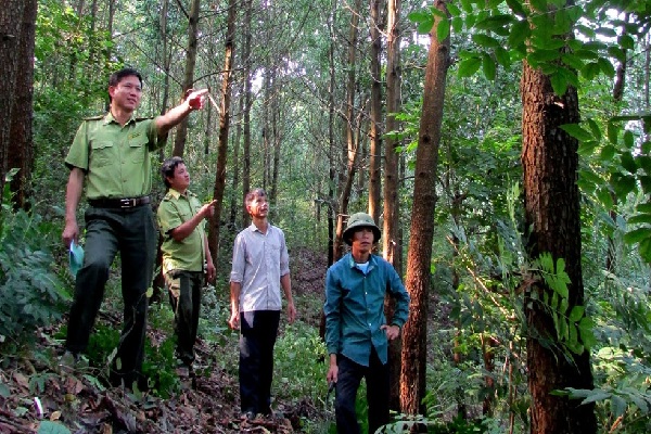 Nhiều quy định mới về khu du lịch sinh thái trong rừng