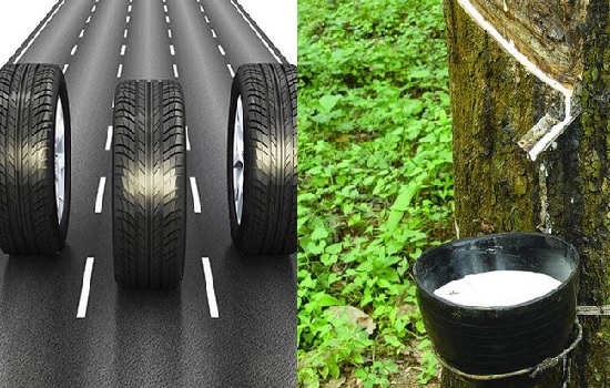 Quý II doanh nghiệp săm lốp phục hồi, trồng trọt cao su ‘sống khỏe’ nhờ thu khác