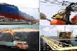 Doanh nghiệp nông nghiệp đã thoái vốn 2.175 tỷ đồng 