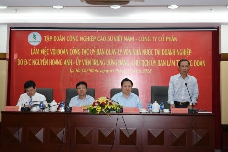 VRG đã phát triển liên tục, ổn định và bền vững