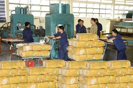 Xuất khẩu cao su mang về hơn 800 triệu USD trong 6 tháng đầu năm 