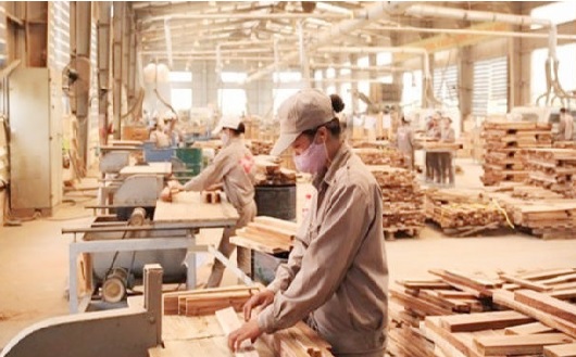 Xuất khẩu gỗ và sản phẩm từ gỗ đối mặt với quy định mới trong thanh tra hải quan 