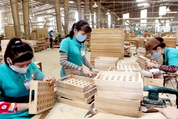 Xuất khẩu lâm sản tháng 8 tăng 16%